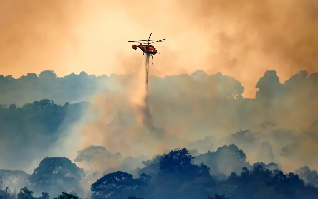 Out of the Ashes… Community Resilience and the Human Spirit